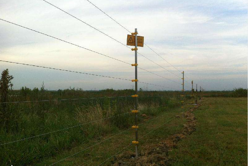 1642408232115880.png image.png